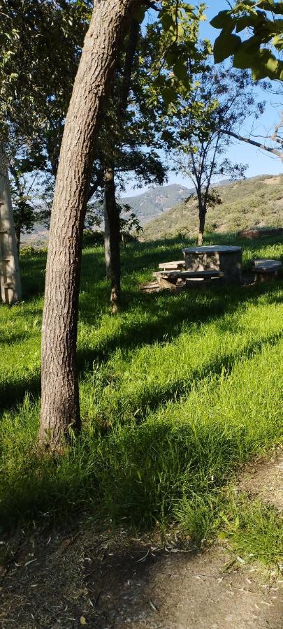 Villa Casa Calma En Sierra De Vicort, Zaragoza à Inoges Extérieur photo